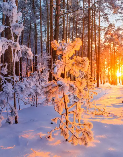 Titelbild Hintergrund