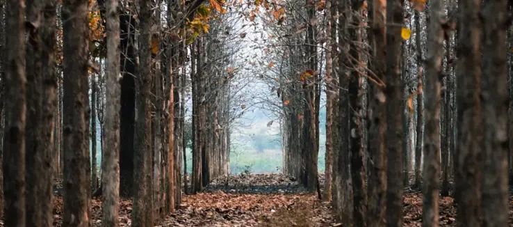 Titelbild Hintergrund