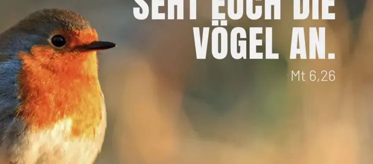 Titelbild Hintergrund