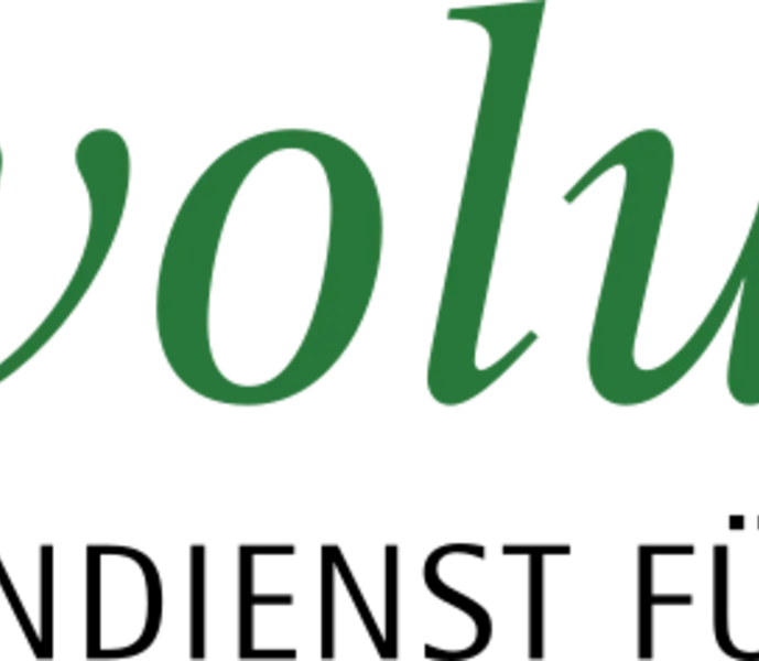 jesuit volunteers: Blogbeiträge