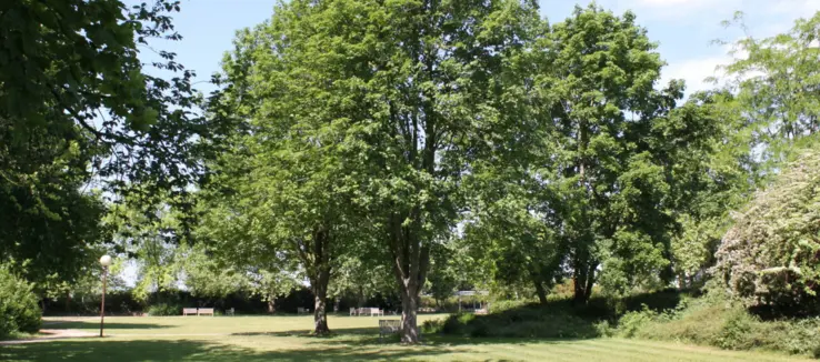 Titelbild Hintergrund