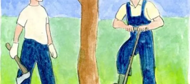 Titelbild Hintergrund